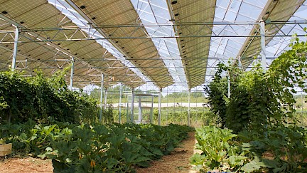 Colloque Agrivoltaïsme - Mardi 30 novembre 2021