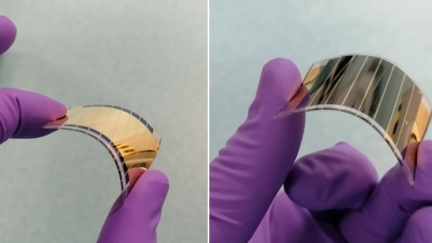 Record efficiency of 18.95% for 11.6 cm2 encapsulated flexible perovskite solar modules